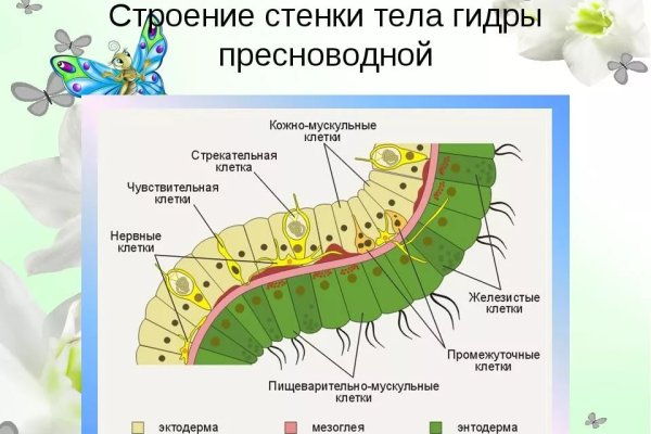 Пользователь не найден кракен даркнет